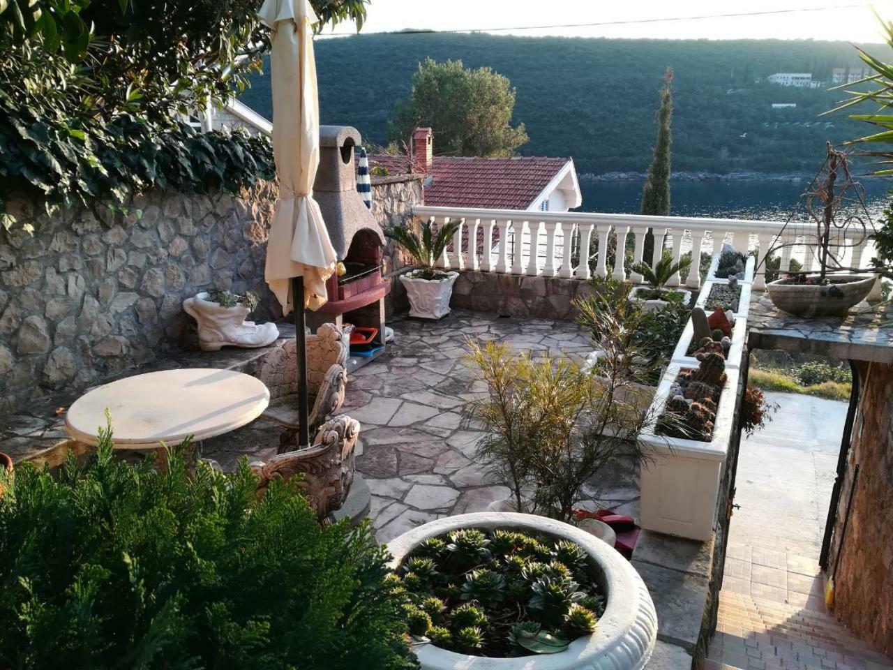 Sea Oasis Apartments - Milosevic Kotor Exterior photo
